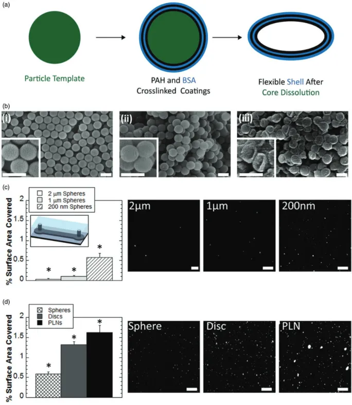 Figure 2 Synthesis and analysis of platelet-like nanoparticles developed by Anselmo et al