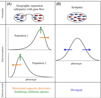 Figure 1 Schematic of the modes of selection necessary to drive speci- speci-ation with gene flow in the scenarios of (A) allopatric populspeci-ations that are exchanging migrants and (B) sympatric speciation