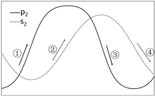Figure 6. Schematic of the allele frequency oscillations when an internal equilibrium exists in the model.