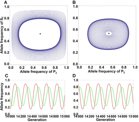 Figure 3. Frequency dynamics of two alleles under different initial frequencies when the internal equilibrium exists