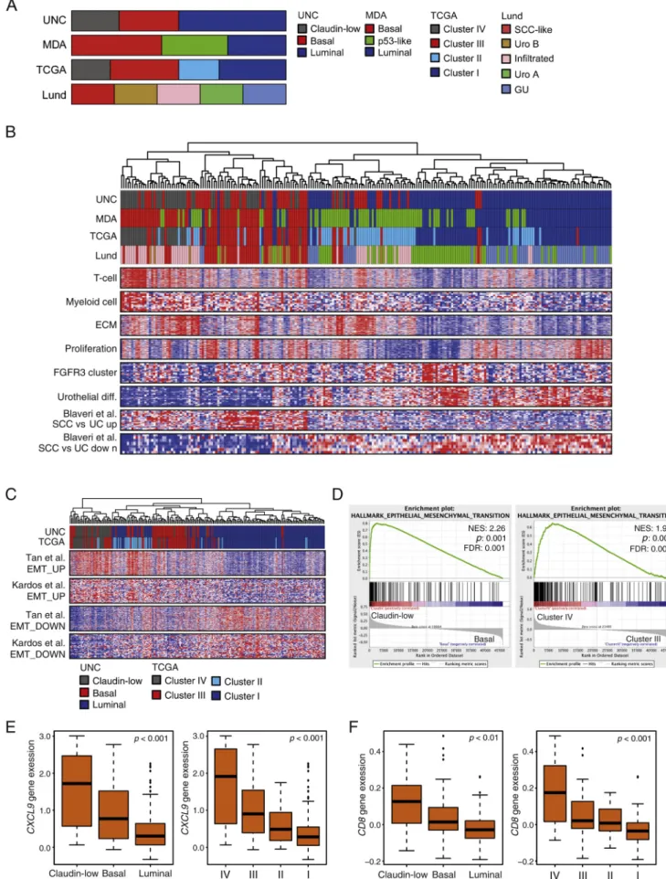 Fig. 1 – Molecular subtypes in pre-NAC TURBT samples in discovery NAC cohort. (A) Overview of four previously described bladder cancer subtyping methods