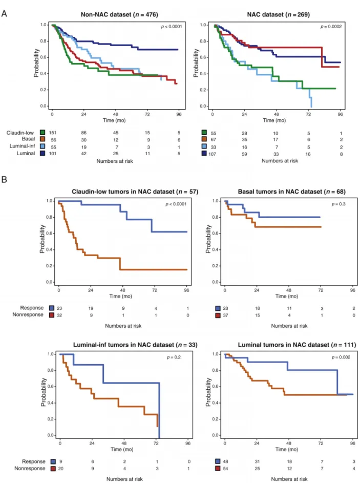 Fig. 4 – Clinical significance of GSC with and without cisplatin-based NAC. (A) Kaplan–Meier plots for OS in non-NAC (left) and NAC (right) datasets stratified according to the classes predicted by GSC