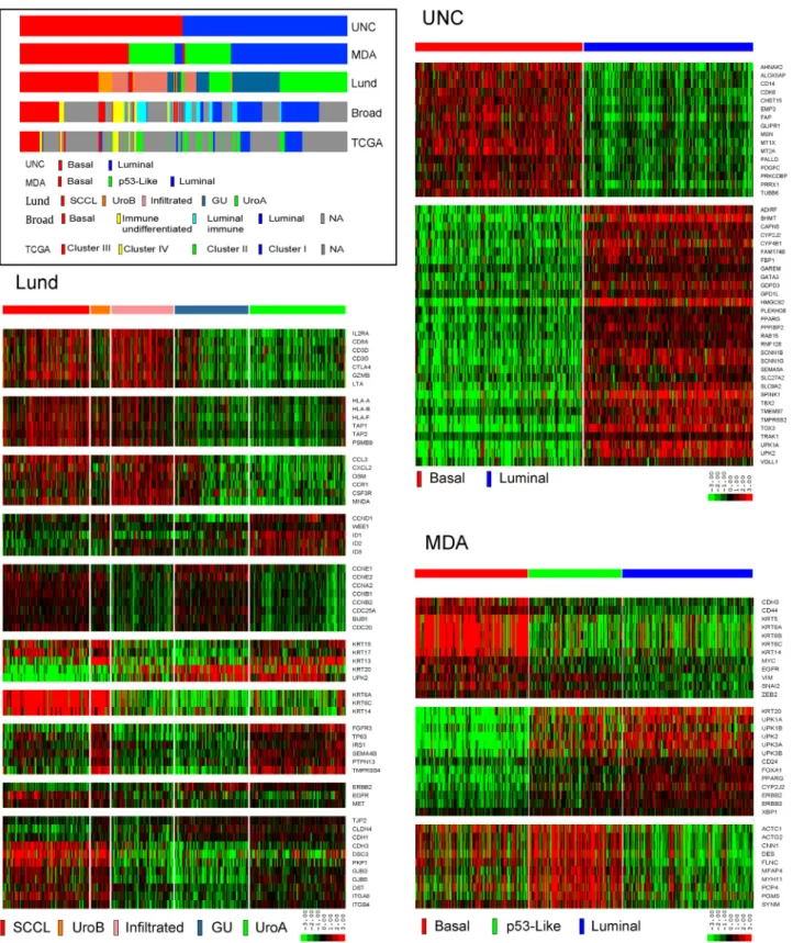 Fig. 1 – Comparison of subtype calls in TCGA’s final dataset. Each group used TCGA’s normalized RNA-seq data to assign TCGA’s tumors to the UNC, MD Anderson, or Lund subtypes