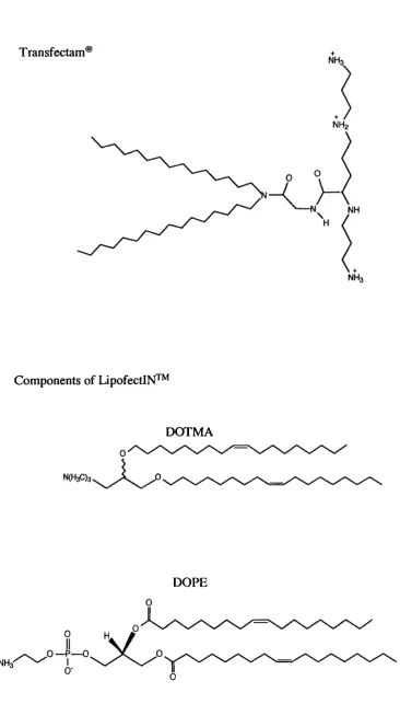 Figure 1.5 Structures of lipidic vectors