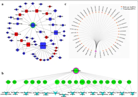 Fig. 8 Analyses of the potential molecular mechanisms of EPB41L4A‑AS2 by a bioinformatics‑based method