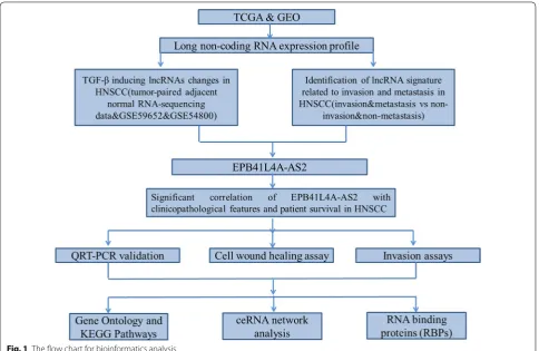 Fig. 1 The flow chart for bioinformatics analysis