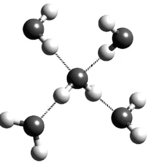 Figure 1.1 A four-coordinated water molecule showing the classic tetrahedral arrangement of  the first-neighbor environment of a water molecule hydrogen-binding to four neighbors