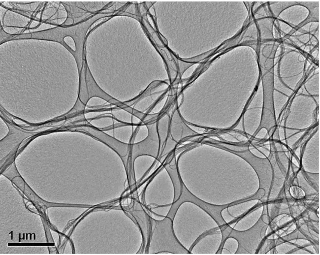 Figure 2.1 The TEM image of SWNTs. It shows that the samples in the current experiment  are relatively long (>1µm) and devoid of magnetic particles