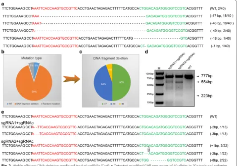 Fig. 2 Highly efficient DNA deletion mediated by dual‑sgRNAs/Cas9. a Detected modified GHR sequences of 40 alleles in 20 single‑cell colonies