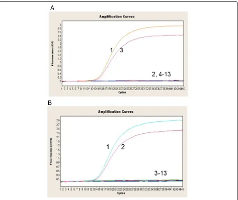 Figure 1 Specificity of the duplex real-time PCR assay for ARV and MS. (A) Specificity of the duplex real-time PCR assay for ARV