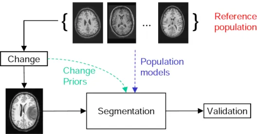 Figure 1.5. A conceptual overview of the proposed dissertation topic. It involves a segmentation framework which treats healthy adults as the  refer-ence population and tumor as a change process, and a validation framework for the segmentation results