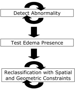 Figure 3.1. The three major stages of the brain tumor MRI segmentation method.