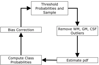 Figure 3.5. The process of detecting abnormal regions, the first stage of the brain tumor MRI segmentation method.