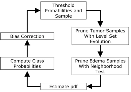 Figure 3.8. The third stage of the method where the image is reclassified using tumor geometric properties and edema spatial relation.