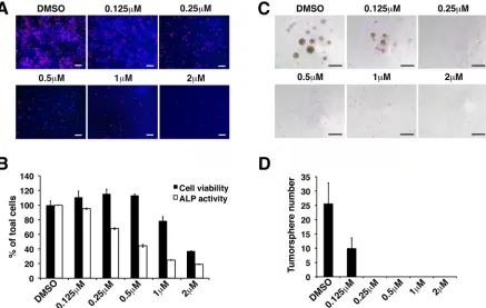 Figure 3: Withaferin A inhibits self-renewal and pluripotent properties of iCSCL-10A cells