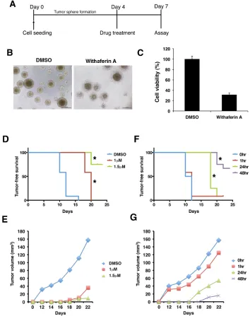 Figure 6: Withaferin A disrupts microenvironment and tumorigenicity of iCSCL-10A cells