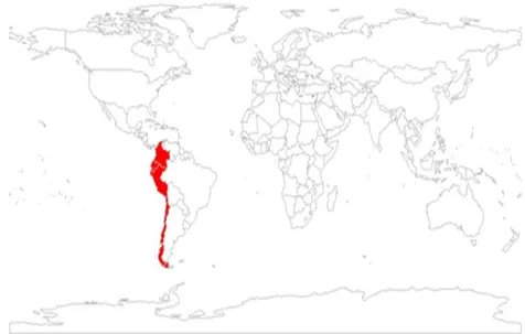 Figure-1. Comparative countries for parameters and counterfactual variables (fictitious simulation of a landlocked country with sea, the Bolivian Case).Observational equivalence: South Pacific Zone