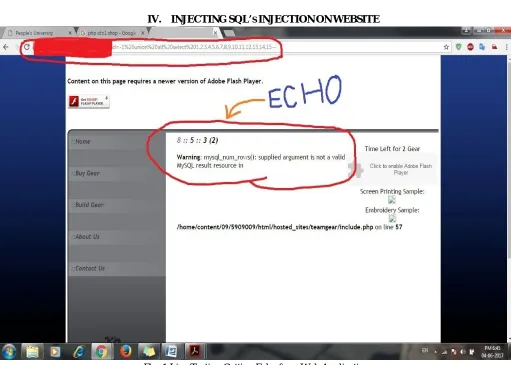 Fig. 1 Live Testing Getting Echo from Web Application  