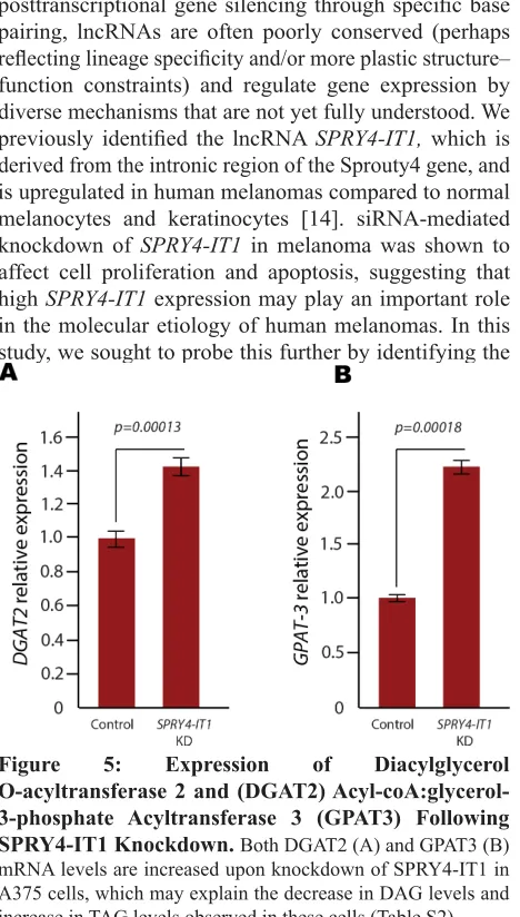 Figure 5: 