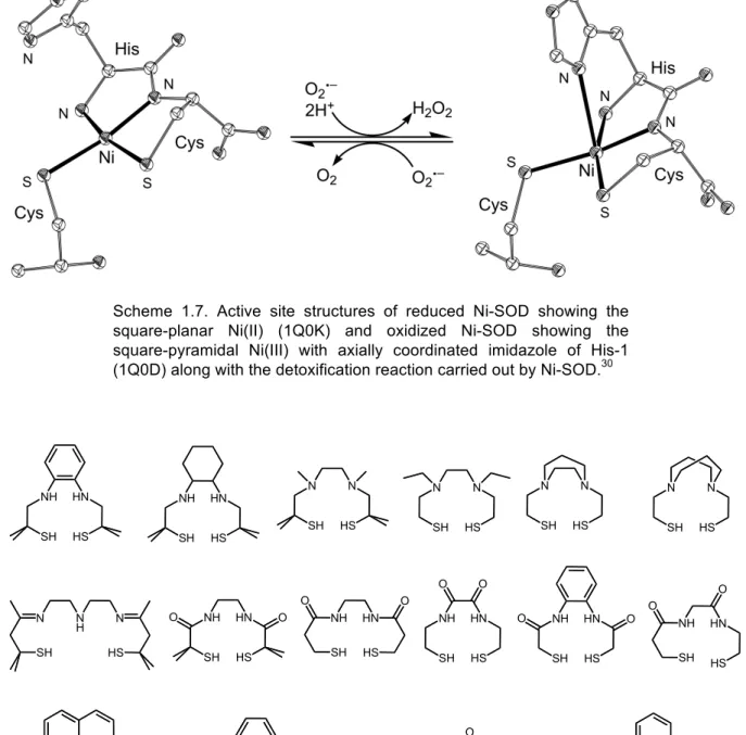 Fig.  1.5.  Selection  of  N 2 S 2   and  N 3 S 2   ligands  used  in  the  synthesis  of  nickel complexes to mimic Ni-SOD