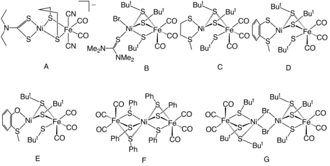 Fig. 1.12. Heterodinuclear and oligonuclear [NiFe] complexes reported  by Tatsumi et al