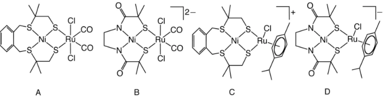 Fig.  1.16.  [NiRu]  complexes  reported  by  Fontecave et al.  as  electrocatalysts for H 2  production