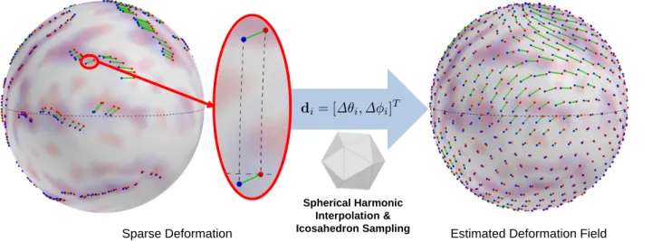 Figure 4.4: Displacement encoding and estimated deformation field (an icosahedron sampling of continuous representation)