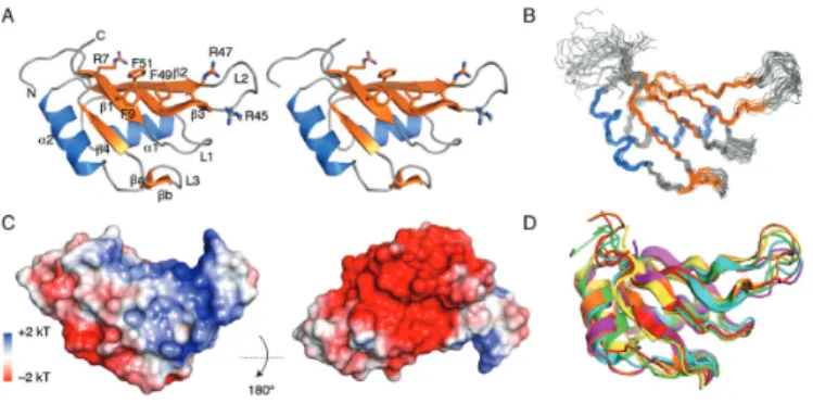 Figure 1. NtGR-RBP1 is highly conserved from bacteria to human. The alignment is generated by CLUSTAL W and displayed by Seaview with colour coding according to amino acid properties