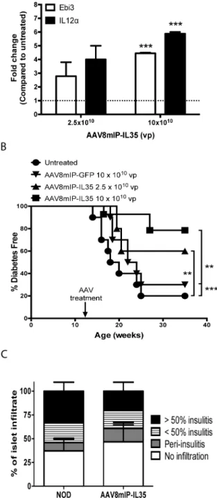 Figure 1. β-cell-specific expression of IL-35 at a late preclinical stage prevents the onset of  diabetes