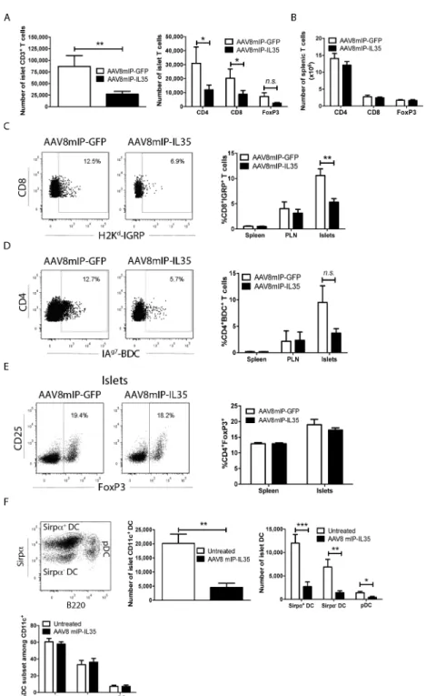 Figure 2. Ectopic IL-35 expression reduces islet infiltrating T cells and DCs