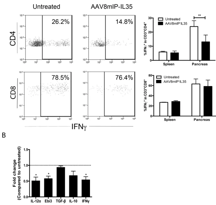 Figure 4. Ectopic IL-35 induces a qualitatively distinct pool of islet conventional T cells (A, B) Groups of 3–4 NOD or NOD.BDC.Foxp3 GFP  female mice 12 weeks of age were  treated with AAV8mIP-IL35 or left untreated, and spleen and pancreas examined 4 wee