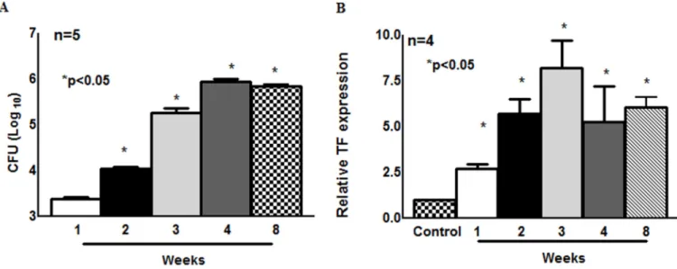 Fig. 1. TF expression and bacterial burden in M. tb infected wild type C57BL/6 mice