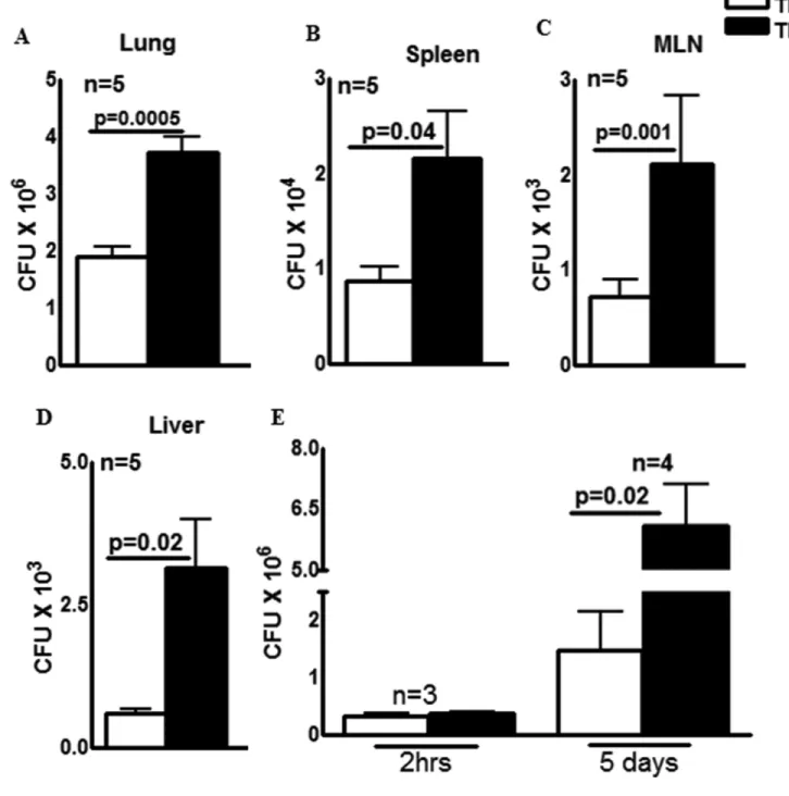 Fig. 2. TF expression by myeloid cells is essential for the optimal control of M. tb growth (A to D) TF Δ  mice and TF fl/fl  mice both C57BL/6 background were infected with ∼75–100  CFU of M