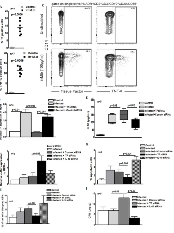Fig. 7. TF regulates IL-10 production, apoptosis and M. tb growth in human MDMs