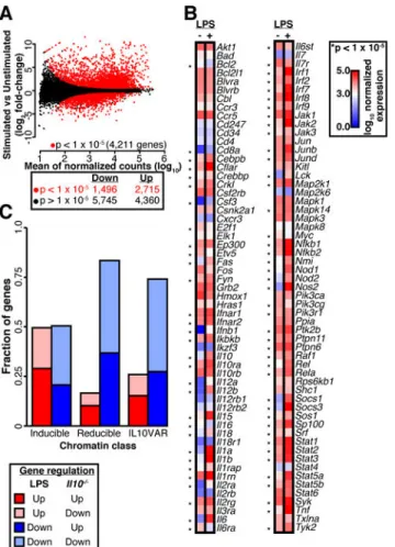 Fig. 2. Alterations in gene expression due to IL-10 status or bacterial stimulation affect many key  cytokine genes