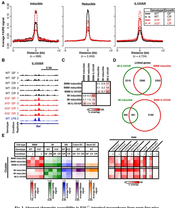 Fig. 3. Aberrant chromatin accessibility in Il10 −/−  intestinal macrophages from germ-free mice  mimics that of LPS-stimulated bone marrow macrophages but is not cell-type-specific