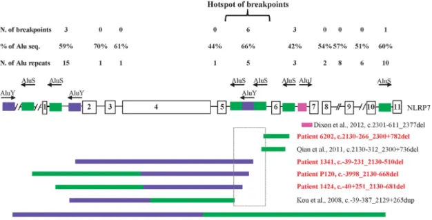 Figure 4 Alu distribution in human NLRP genes. For all genes, the genomic structures were downloaded from the UCSC Genome browser (hg19) and each included 1-kb upstream the ﬁrst exon and 1-kb downstream of the last exon
