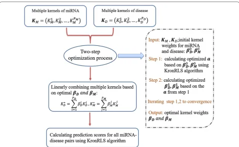 Fig. 1 Flowchart of MKRMDA model to predict potential miRNA–disease associations based on multiple kernels of miRNA and disease and known miRNA–disease associations in HMDDv2.0 database