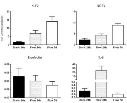 Figure 2: Effects of prolonged shear stress on gene expression of shear responsive genes