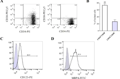 Figure 6: KG-1a cell line contains leukemic stem-like cells expressing MRP4/ABCC4. (A) Flow cytometry analysis of cell (filled gray curve)