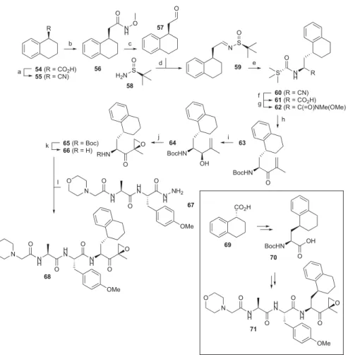 Table 6. Apparent IC 50 ( μM) Values of Compounds 68, 71, 74, 77, 86, and 87 against the Six Catalytic Active Sites from Human cCPs and iCPs, Determined in Raji Cell Lysates by Competitive ABPP