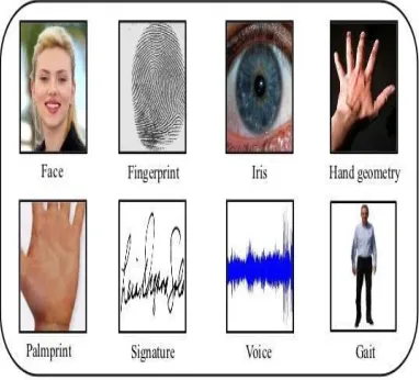 Fig. 1 Multimodal Biometric system 