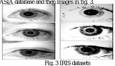 Fig.2 Fingerprint datasets 