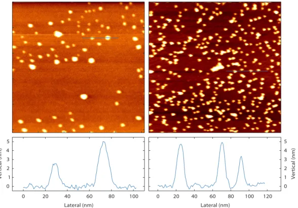 Figure 2.5. Palladium nanoparticles on α−Al 2 O 3 , image size 700 × 700 nm 2 , frequency shift setpoint +5 Hz, oscillation amplitude 5 nm, acquisition time 131 s per frame