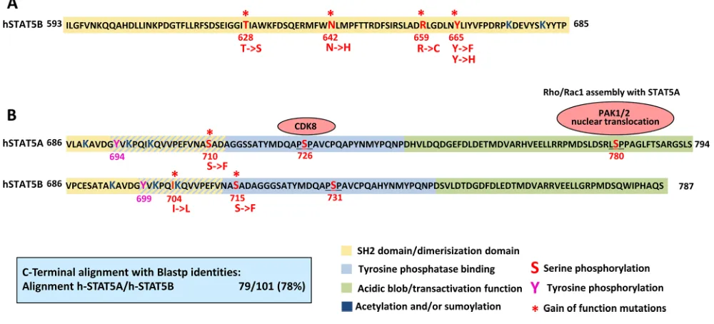 Figure 2: Gain of function mutations in STAT5. (A) The SH2/dimerization domain (yellow) of STAT5B ranges from 593 to 712 amino acids [105]
