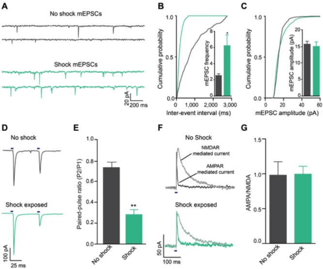 Figure 2.2: Acute unpredictable foot shock exposure enhances LHb-to-RMTg  glutamate release