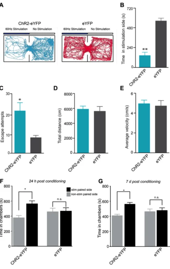Figure 2.3: Activation of LHb inputs to the RMTg produces active and 