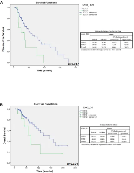 Figure 4: A-G) Survival plot representing the univariate analysis of DFS for SOX2 (A) and prognostic and predictive factors commonly used in BC clinical management: the proliferation marker KI67 (B), amplification of HER2, T-size and Node status (C-D), ER 