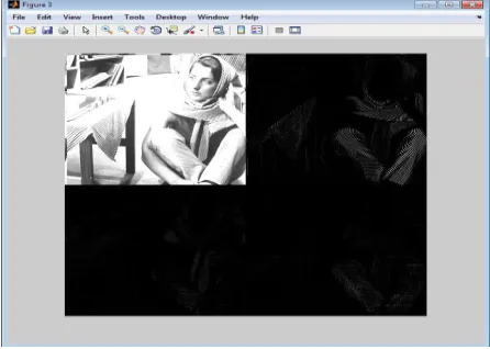 Figure 7 shows the compressed image of Barbara after applying 1st discrete wavelet transform