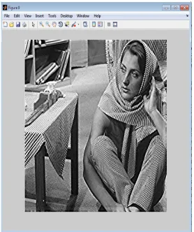 Figure 10 shows the uncompressed images of Barbara after applying inverse 1 